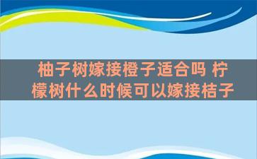 柚子树嫁接橙子适合吗 柠檬树什么时候可以嫁接桔子